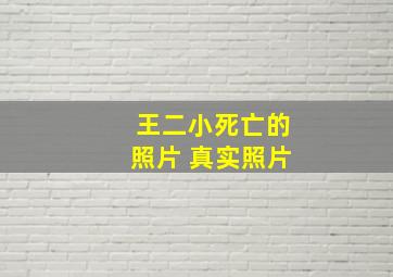 王二小死亡的照片 真实照片